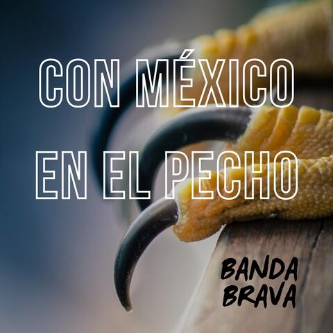 Con México en el Pecho album art