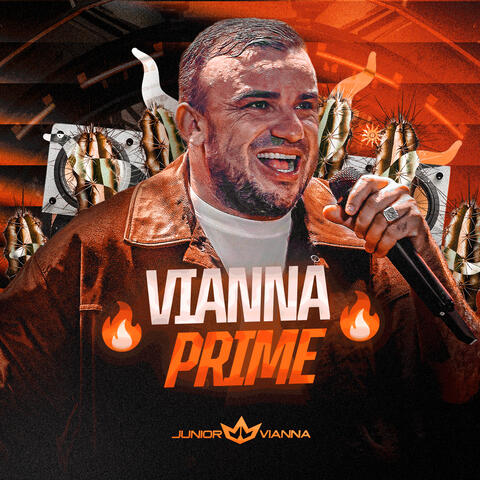 Vianna Prime album art