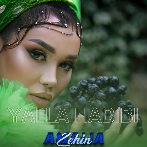 Yalla Habibi album art