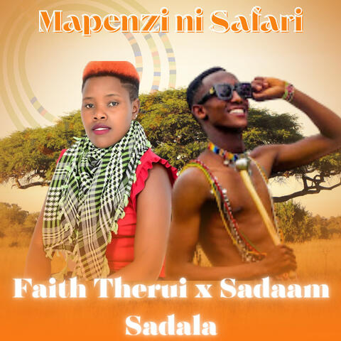 Mapenzi Ni Safari album art