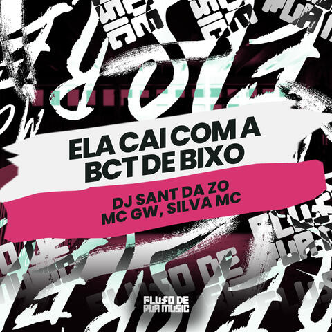 Ela Cai Com a Bct de Bixo album art
