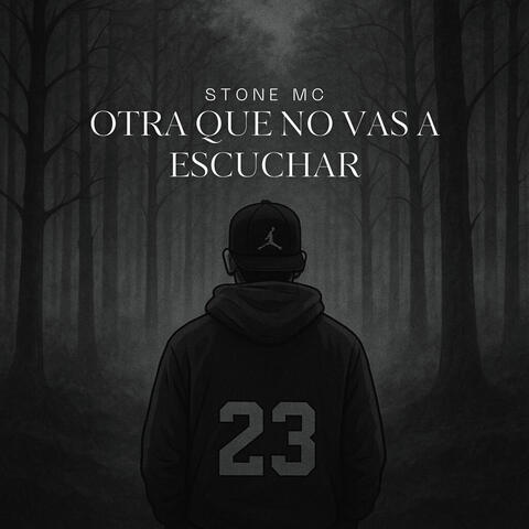 Otra Que No Vas a Escuchar album art
