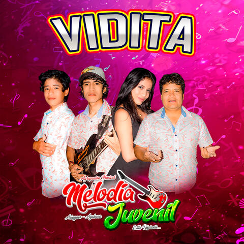 Vidita album art