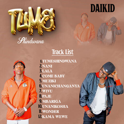 Tumeshindwana album art