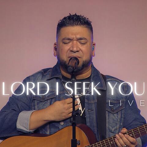 Lord I Seek You album art