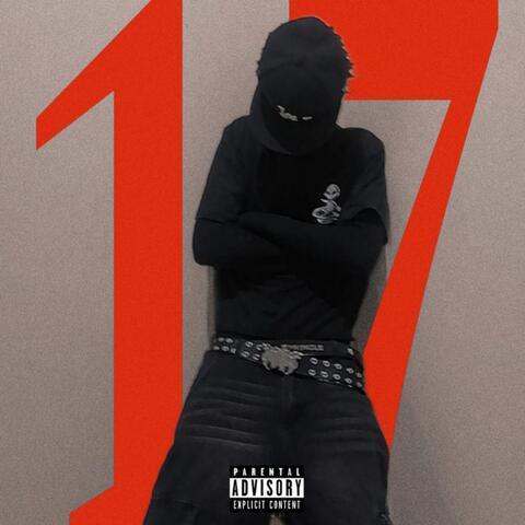 17 album art