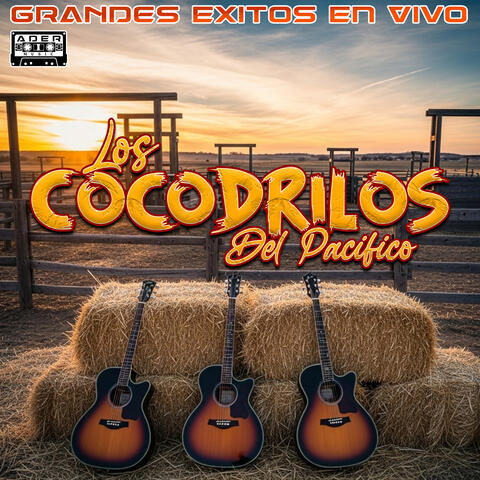 Grandes Exitos en Vivo album art