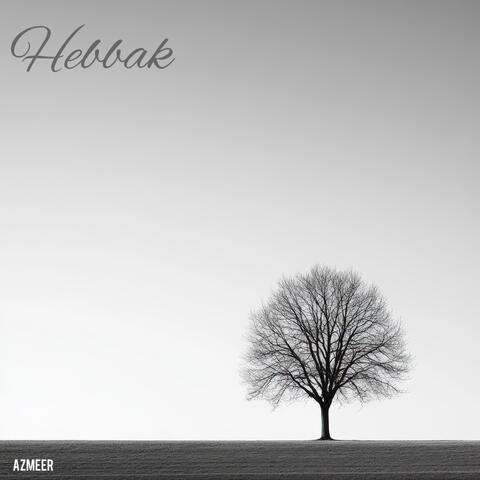 Hebbak album art