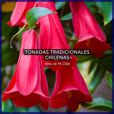Tonadas Tradicionales Chilenas album art