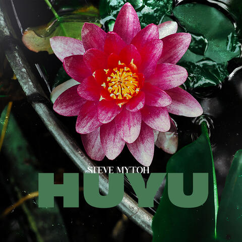 Huyu album art