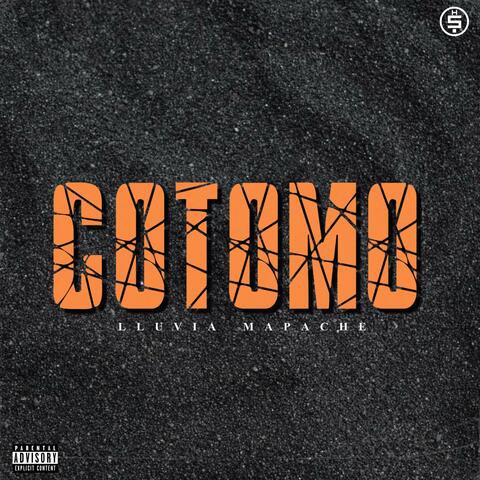 Cotomo album art