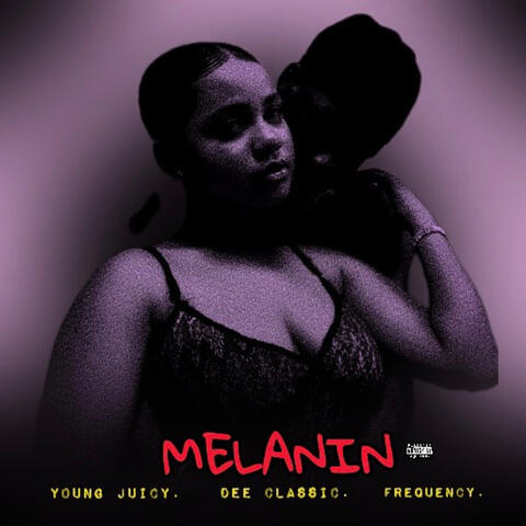Melanin album art