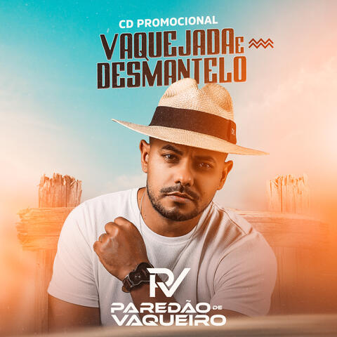 Cd Promocional Vaquejada e Desmantelo album art