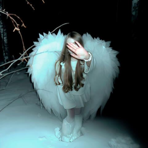 anything album art