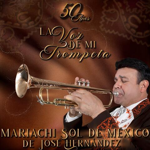 La Voz de Mi Trompeta album art