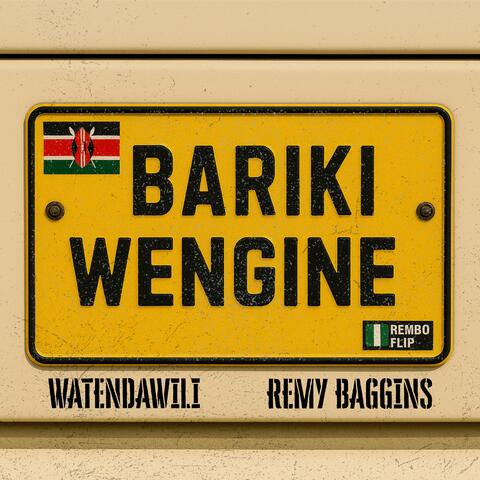 Bariki Wengine (Rembo Flip) album art