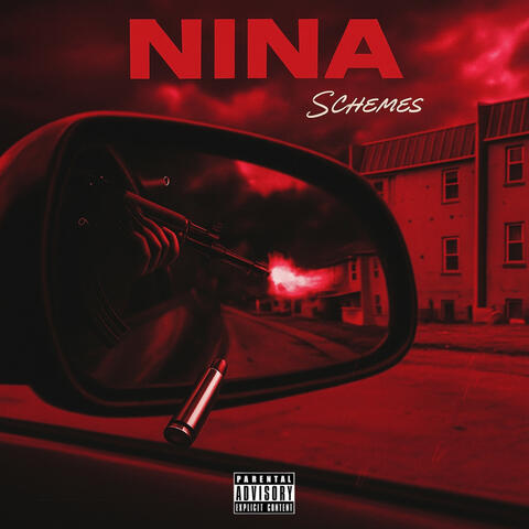Nina album art