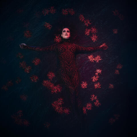 Blood in the Water album art