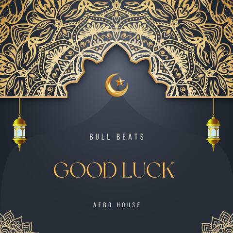 Good Luck album art