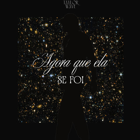Agora Que Ela Se Foi album art