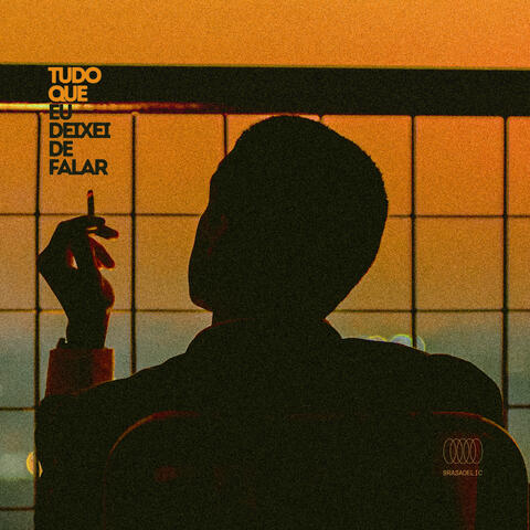 Tudo Que Eu Deixei de Falar album art