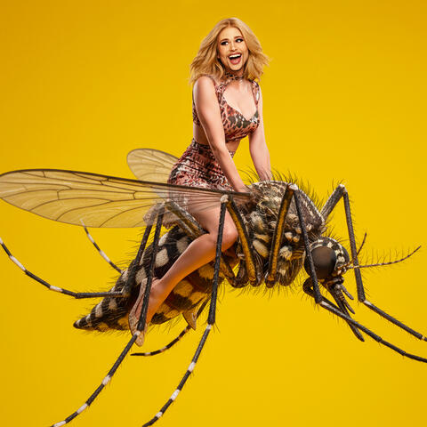 Carapanã album art