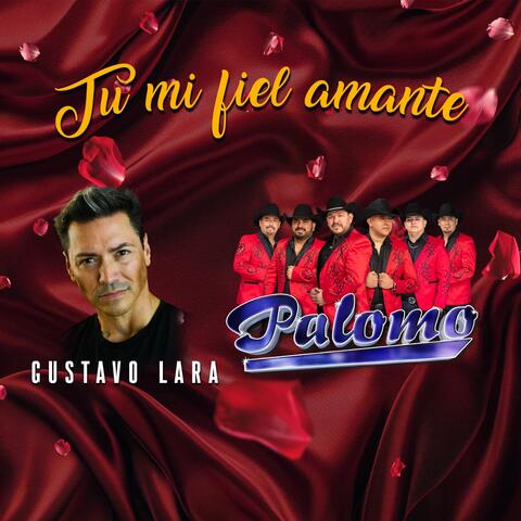 Tú Mi Fiel Amante album art