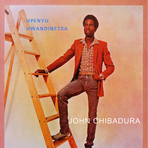 Upenyu Hwandinetsa album art