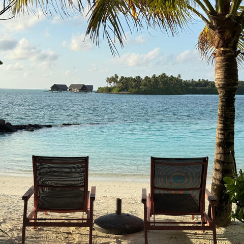 Девочка Hollywood album art