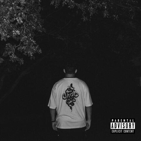 Tiempo Perdido album art