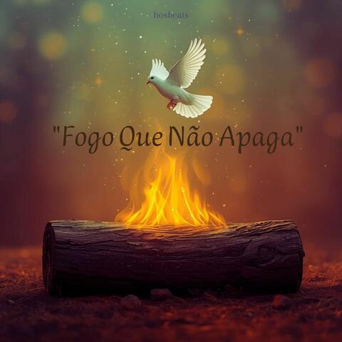 Fogo Que Não Apaga album art