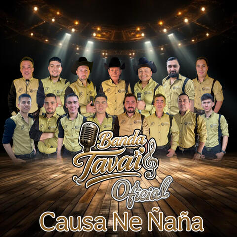 Causa Ne Ñaña album art