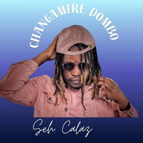 Changamire Dombo album art