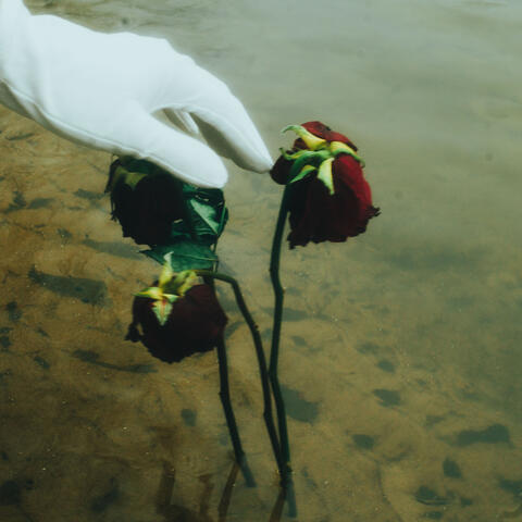 Let Me Stay Dead album art