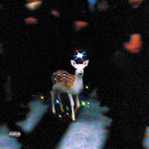 Catfish album art