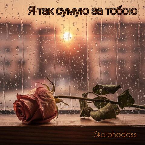 Я так сумую за тобою album art