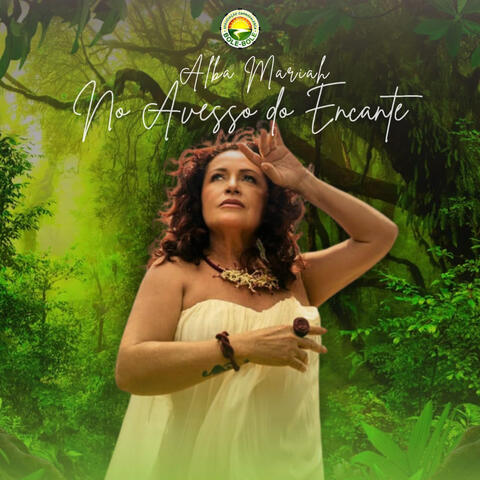 No Avesso do Encante album art