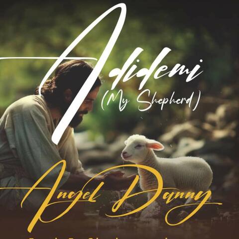 Adidemi album art