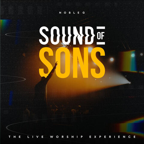 Sound of Sons album art