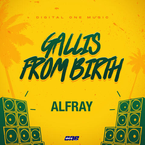 Gallis from Birth album art