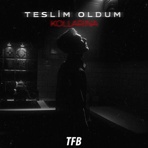 Teslim Oldum Kollarına album art