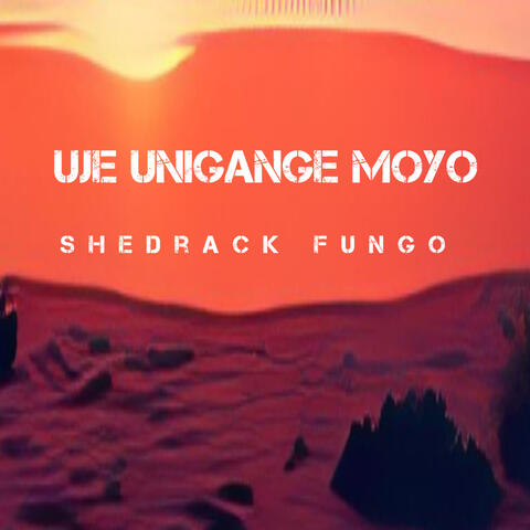 Uje Unigange Moyo album art