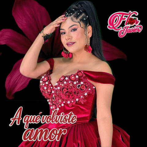 A Que Volviste Amor album art