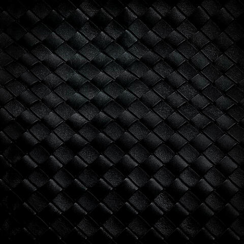 Bottega album art