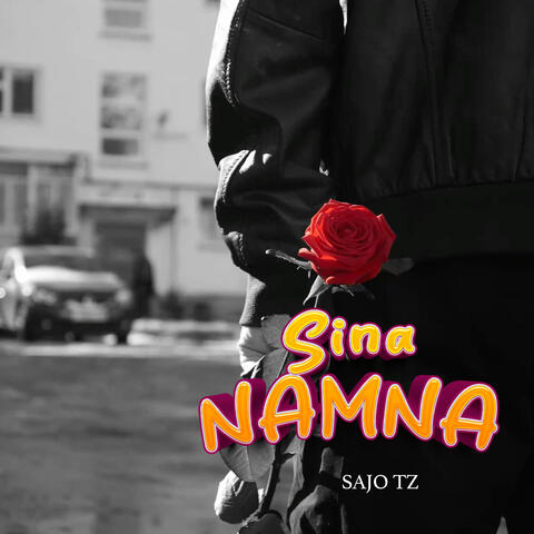 Sina Namna album art