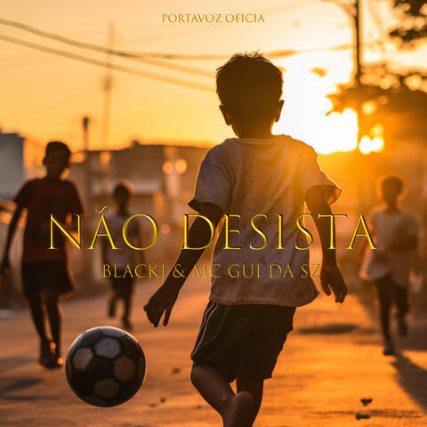 Não Desista album art
