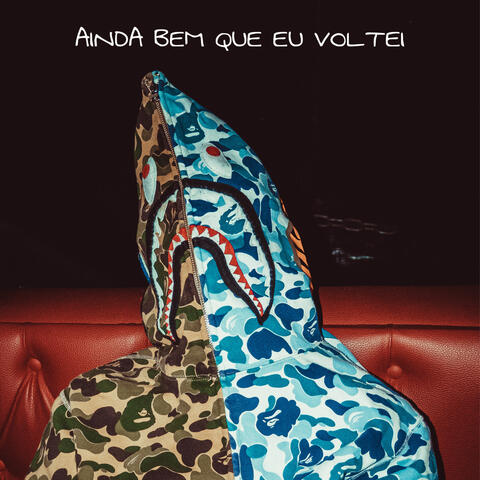Ainda Bem Que Eu Voltei album art