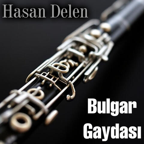 Bulgar Gaydası album art