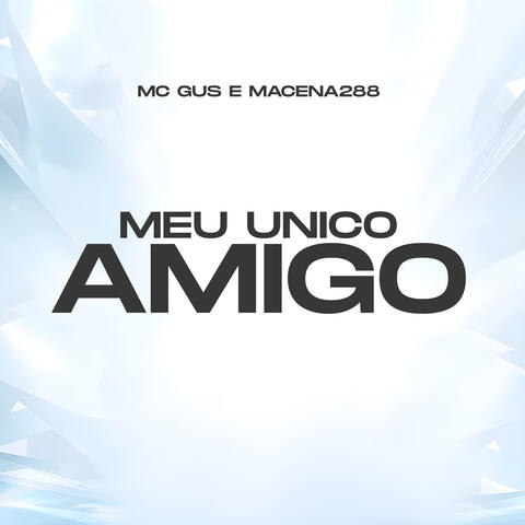 Meu Unico Amigo album art