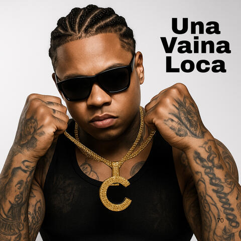 Una Vaina Loca (Reguetón Viejo) album art